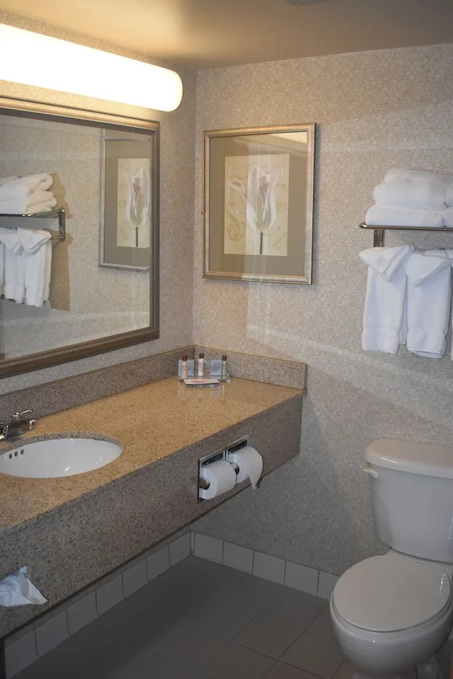 Room, King Bed, Large, Wingate By Wyndham Charlotte Airport 4/6