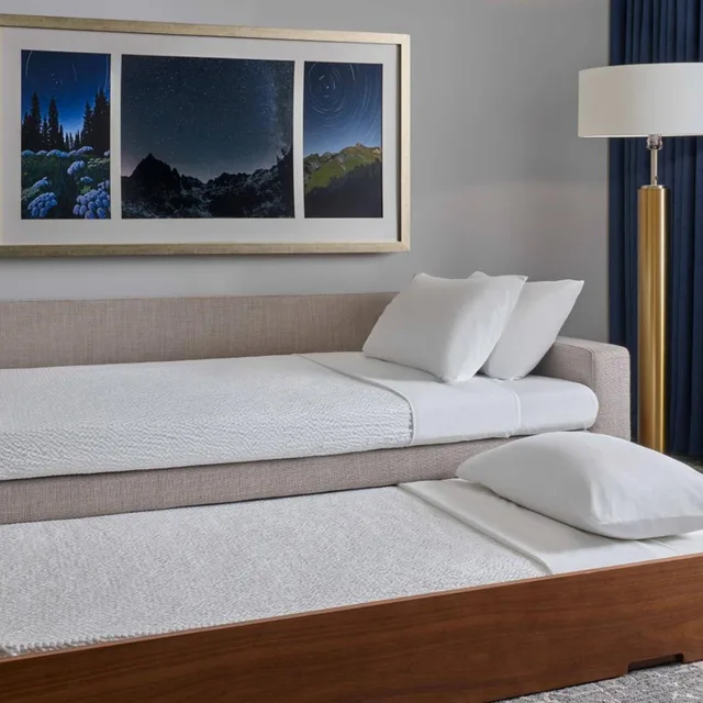 جناح بسريرين كوين مع سرير سحّاب إضافي مع أريكة، SpringHill Suites by Marriott Denver Downtown 2/5