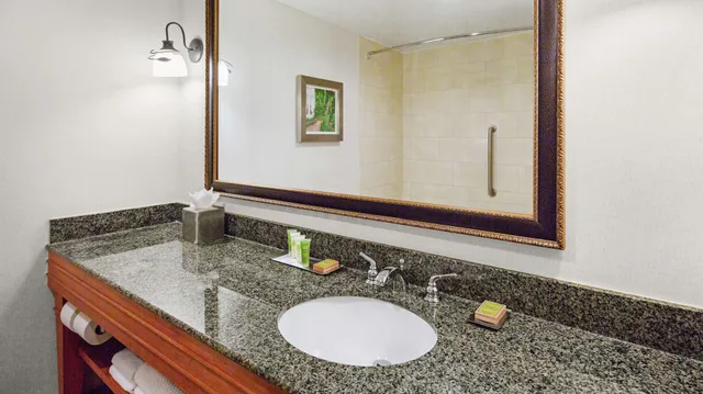 غرفة بسرير مزدوج، Doubletree by Hilton Raleigh Durham Airport at Research Triangle Park 3/3