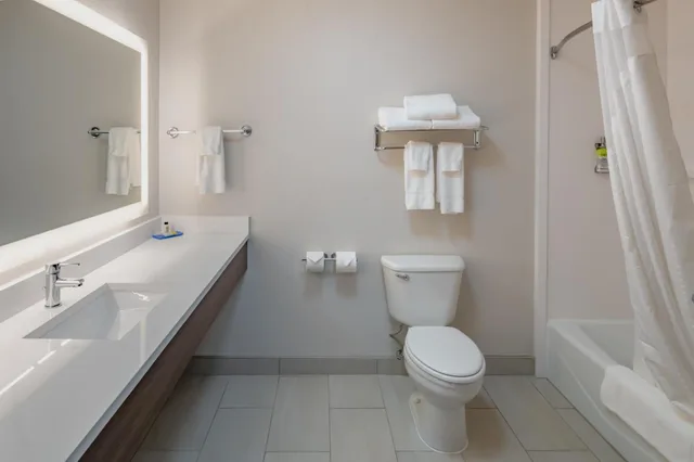 غرفة قياسية بسرير مزدوج، Holiday Inn Express Suites N Waco Area West 2/5
