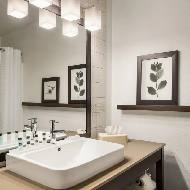 جناح سوبيريور بسرير كينج، Country Inn & Suites by Radisson, Novi, MI 3/3