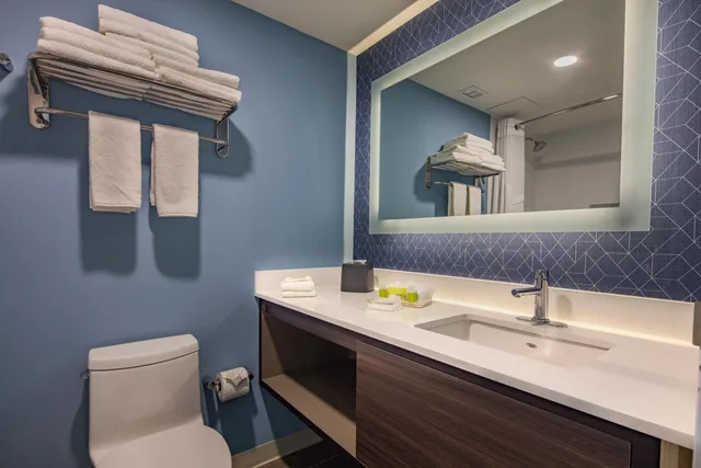 غرفة بسرير كينج لذوي الإعاقة، Holiday Inn & Suites Aguascalientes 3/3