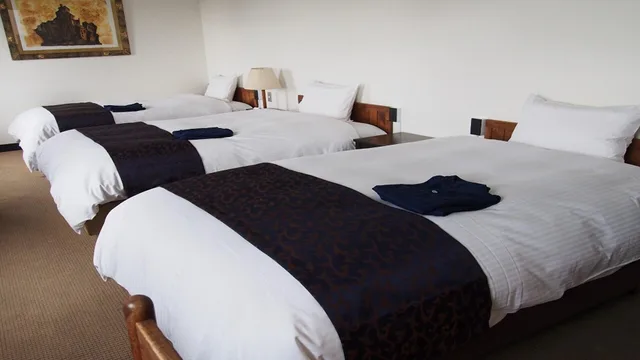 غرفة ثلاثية مفردة في الملحق، LC Goryokaku Hotel 1/1