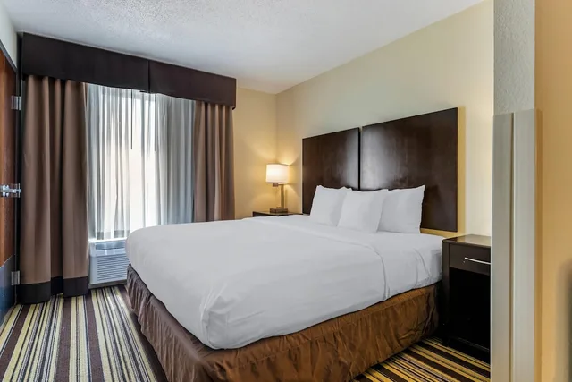 غرفة قياسية بسرير كينج، Comfort Inn & Suites Triadelphia - Wheeling 1/7