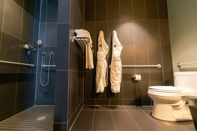Loft, Premium, King Bed, The Iron Horse Hotel 1/1