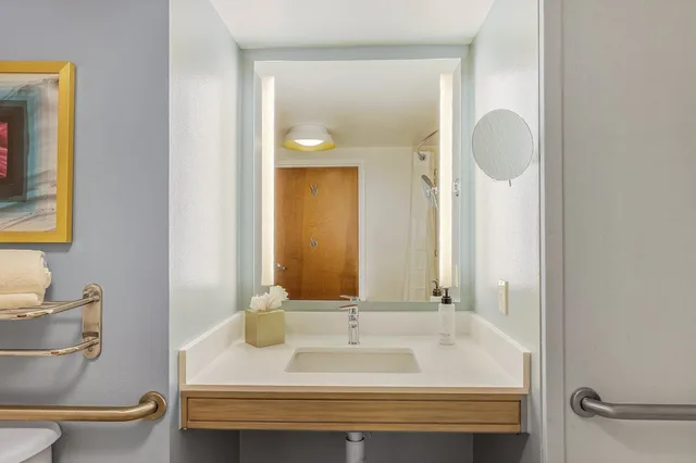 غرفة قياسية بسرير كينج لذوي الإعاقة، Crowne Plaza Ft. Myers Gulf Coast, An Ihg Hotel 3/3