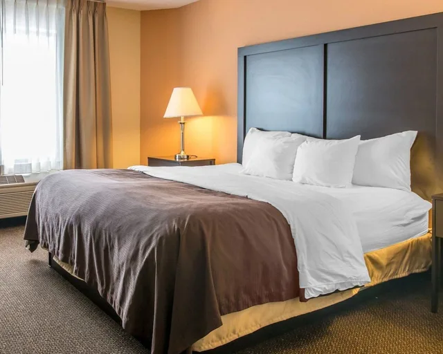 غرفة بزنس قياسية بسرير كينج، Quality Inn and Suites Niles 2/9