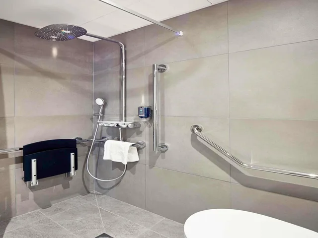 جناح سوبيريور بسرير مزدوج لذوي الإعاقة، Novotel Suites Colmar Centre 4/4