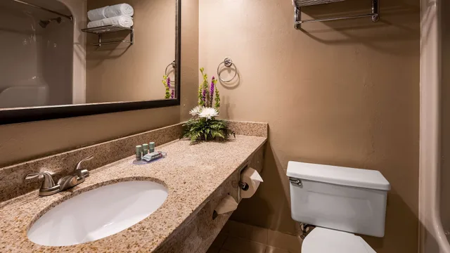 غرفة قياسية بسريرين مزدوجين، Best Western Detroit Livonia 6/6