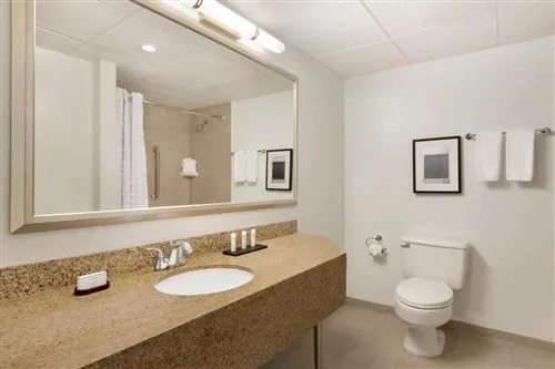 جناح بسرير كينج بإطلالة، Embassy Suites by Hilton Boca Raton 2/2