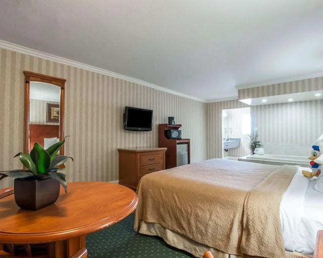 غرفة بسرير كينج، Quality Inn Suites Anaheim Maingate 3/6