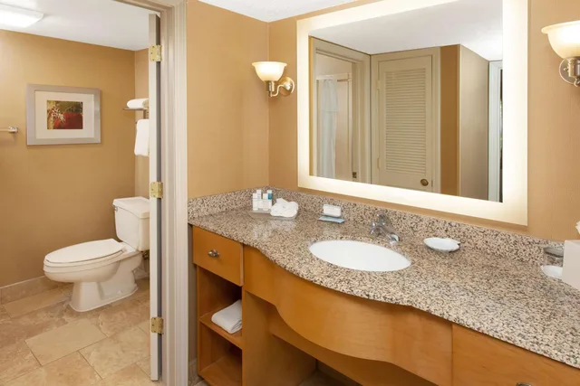 جناح بسرير كينج بغرفة نوم واحدة مع أريكة، Homewood Suites by Hilton Lafayette 2/3
