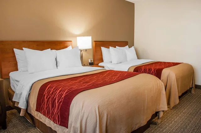 جناح بسريرين مزدوجين، Comfort Inn Dickinson, ND 1/2