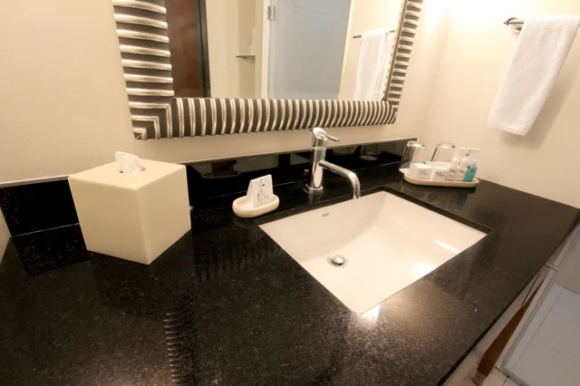 غرفة قياسية بسرير كينج، CROWNE PLAZA MONTERREY AEROPUERTO 9/10