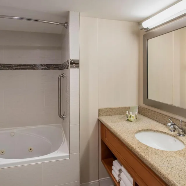 1 Bedroom, Suite, King Bed, City View, Holiday Inn Winnipeg South 3/3