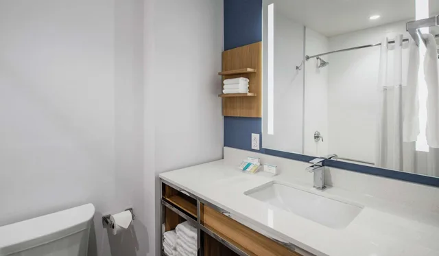 Room, King Bed, South View، Hilton Garden Inn Winnipeg South 3/3
