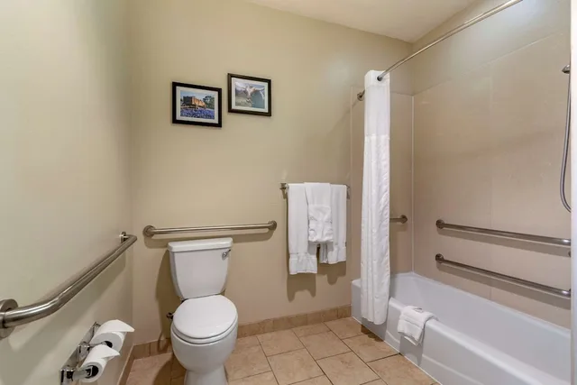 جناح بسريرين كوين مع أريكة لذوي الإعاقة، Comfort Suites Buda - Austin South 4/4