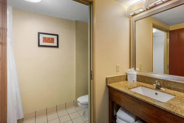 جناح بسريرين كوين مع أريكة، Comfort Suites Manassas Battlefield Park 9/10