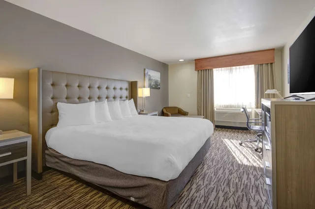 غرفة قياسية بسرير كينج لذوي الإعاقة، Best Western Plus Peppertree Airport Inn 1/5