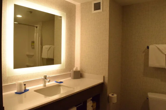 جناح بسرير كينج لذوي الإعاقة، Holiday Inn Express & Suites Rochester Webster, an IHG Hotel 1/3