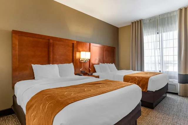 جناح ديلوكس بسريرين كوين، Comfort Suites Grand Rapids South 2/6