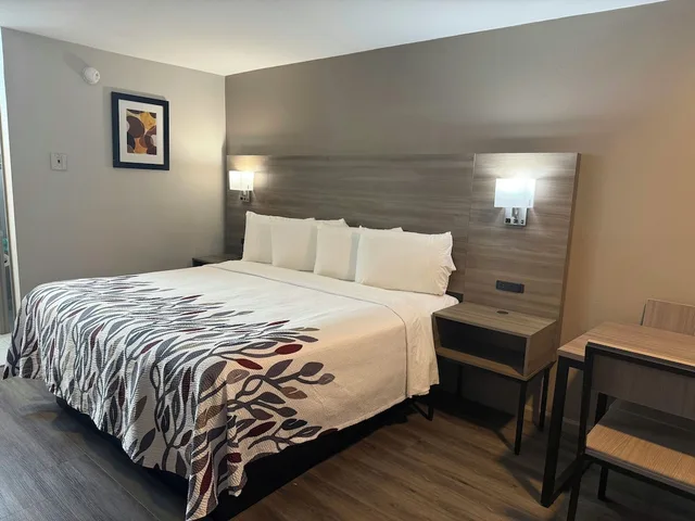 غرفة ديلوكس بسرير كينج لذوي الإعاقة، Red Roof Inn Orangeburg 2/4