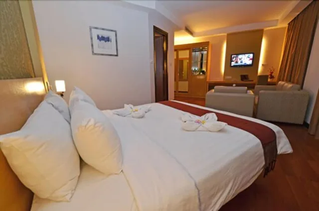 غرفة تنفيذية بسرير مزدوج، The Axana Hotel 2/4