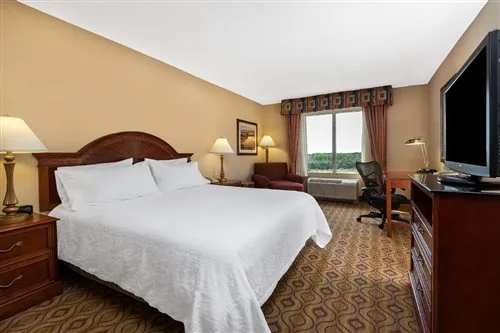 غرفة بسرير كوين، Hilton Garden Inn Florence 1/1