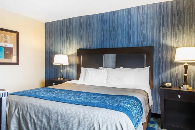 جناح بسرير كينج مع أريكة لذوي الإعاقة، Comfort Inn and Suites Meriden 3/4