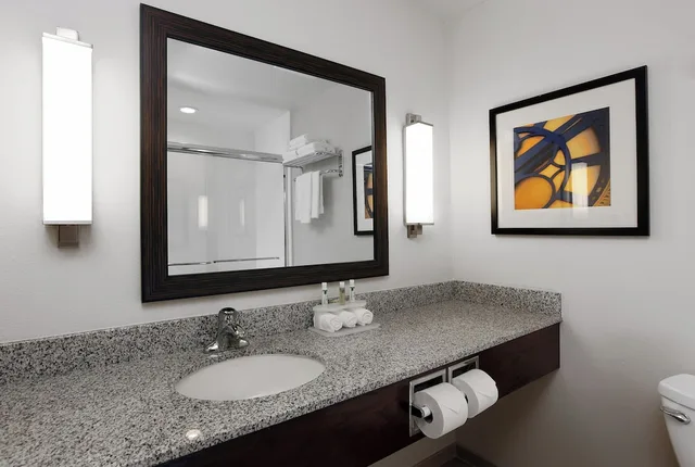 غرفة قياسية بسرير كينج لذوي الإعاقة، Holiday Inn Express Ralston Arena Area 2/2