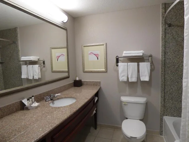 Efficiency, Suite, King Bed، Country Inn & Suites by Radisson, Pensacola West, FL 2/2