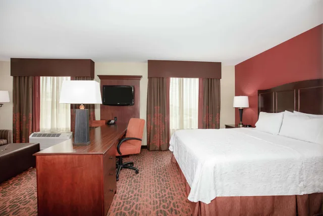 استوديو، Hampton Inn & Suites Denver/South-Ridgegate 1/3