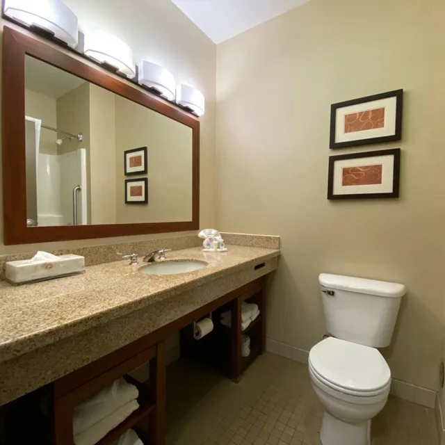 Efficiency, Suite, King Bed, Pet Friendly، Comfort Suites Coralville 5/5