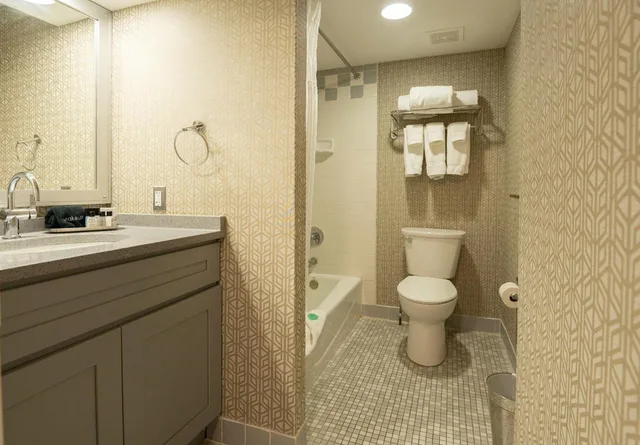 جناح فاخر بسرير كوين بإطلالة على المدينة بغرفتي نوم، The Americus Hotel Trademark Collection by Wyndham 3/3