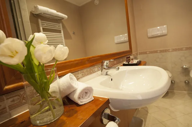 غرفة ديلوكس بسرير مزدوج، Shg Hotel De La Ville Vicenza 6/9