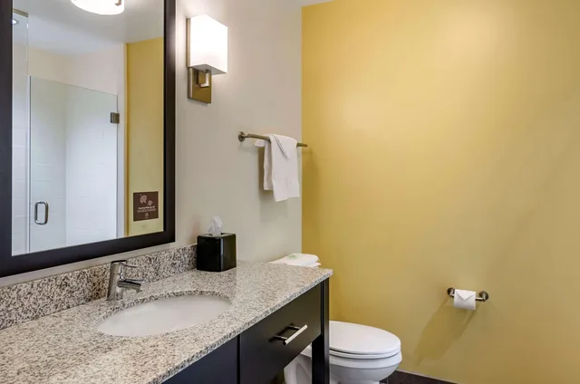 جناح بسرير كينج، Sleep Inn & Suites Great Falls Airport 3/3