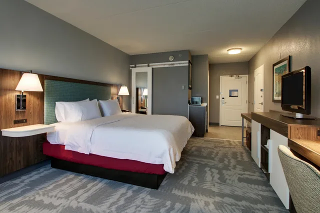 جناح عائلي بسرير كينج وسرير بطابقين مع أريكة لذوي الإعاقة، Hampton Inn And Suites Chicago Aurora 1/4