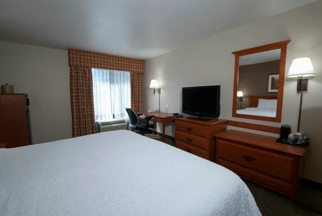 Room, King Bed, Hampton Inn Suites Las Vegas Henderson 2/5