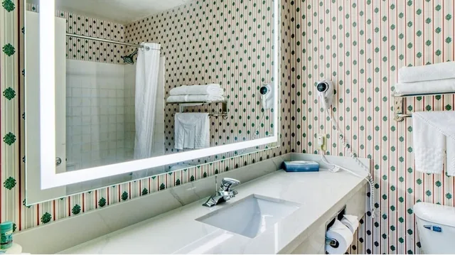 غرفة تنفيذية بسرير كينج مع أريكة، Evergreen Inn And Suites 5/7