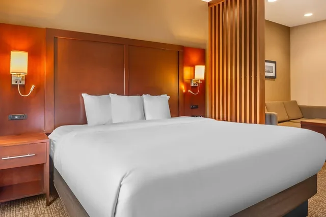 Suite, King Bed, Sofa, Accessible, Comfort Suites Florence - Cincinnati South 3/5