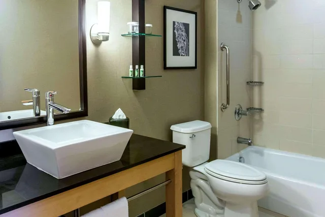 جناح بسرير كينج لذوي الإعاقة، Cambria Hotel Rapid City near Mount Rushmore 7/7