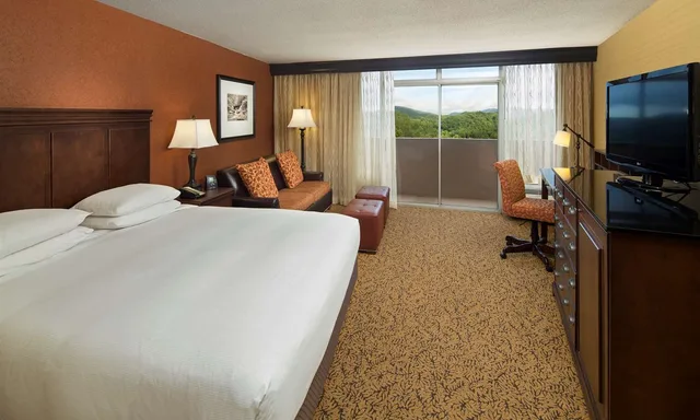 غرفة بسرير كينج، The Park Vista A Doubletree By Hilton Hotel Gatlinburg 1/1