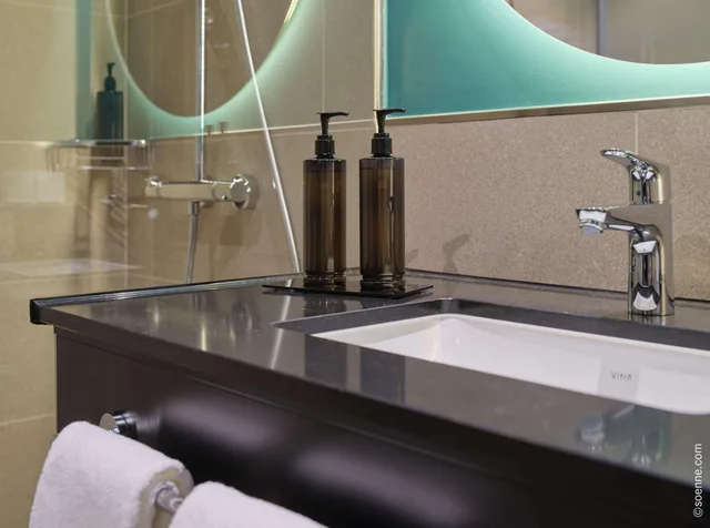 غرفة سوبيريور مفردة، Dorint Hotel Munich/Garching 4/4
