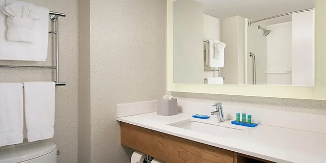جناح بسرير كينج، Holiday Inn Express Chesapeake Norfolk 2/4