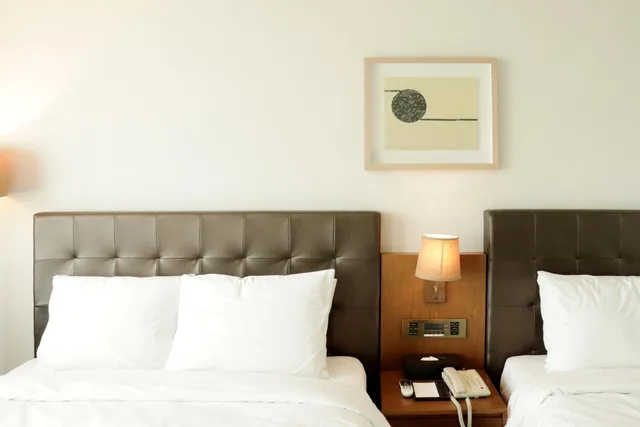 Deluxe, Single Bed, City View, Grabel Hotel Jeju 2/4
