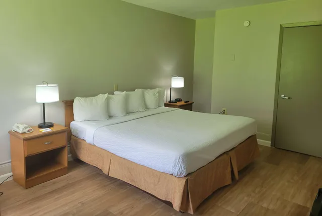 غرفة بسرير كينج لذوي الإعاقة، Days Inn by Wyndham Valdosta/Near Valdosta Mall 2/2