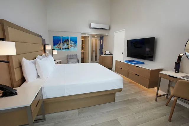 غرفة ديلوكس بسرير كينج بإطلالة على البحر، Divi Flamingo Beach Resort 5/10