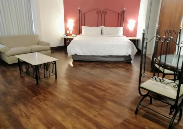 جناح بسرير كوين لذوي الإعاقة، Holiday Inn & Suites Guadalajara Centro Historico 5/9