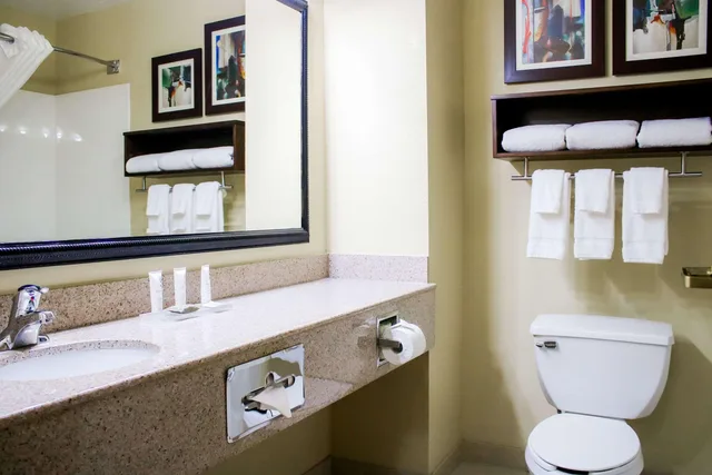 جناح بسرير كينج لذوي الإعاقة، Country Inn Suites By Radisson Richmond West At I 64 Va 3/3