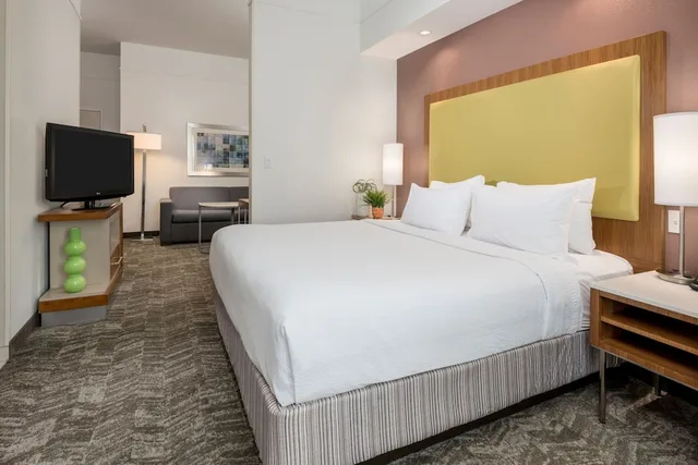 جناح بسرير كينج مع أريكة لذوي الإعاقة، Springhill Suites By Marriott Lafayette South At River Ranch 1/5